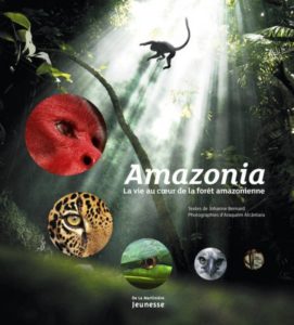 amazonia-2