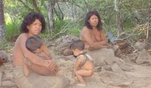 Paraguay : Le territoire des indigènes isolés du Chaco est menacé par l’élevage