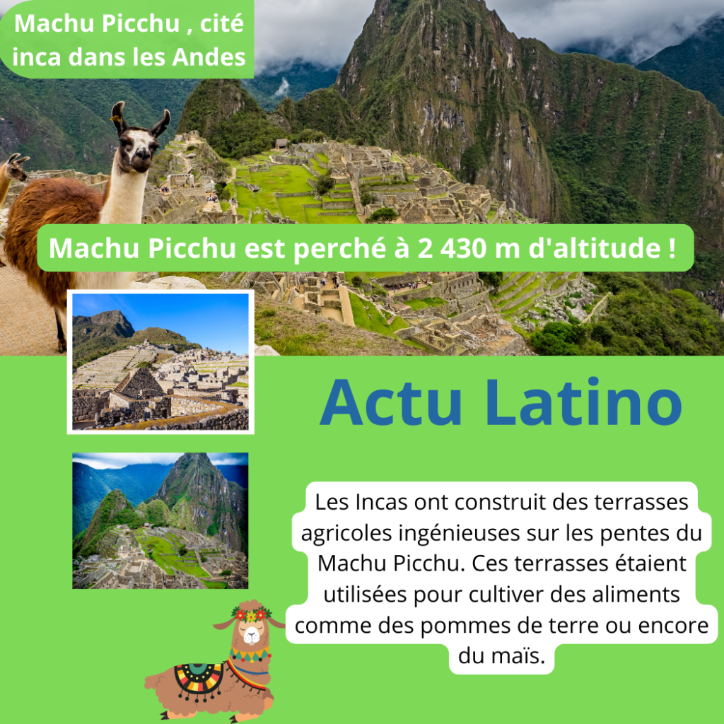Les Incas ont développé des techniques agricoles avancées pour cultiver dans des terrains montagneux difficiles-Actu Latino